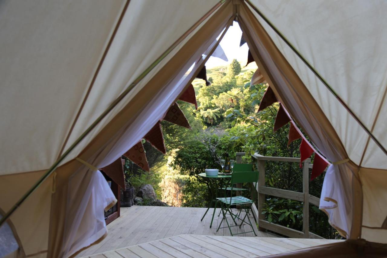 Kereru Site Ξενοδοχείο Waihi Εξωτερικό φωτογραφία